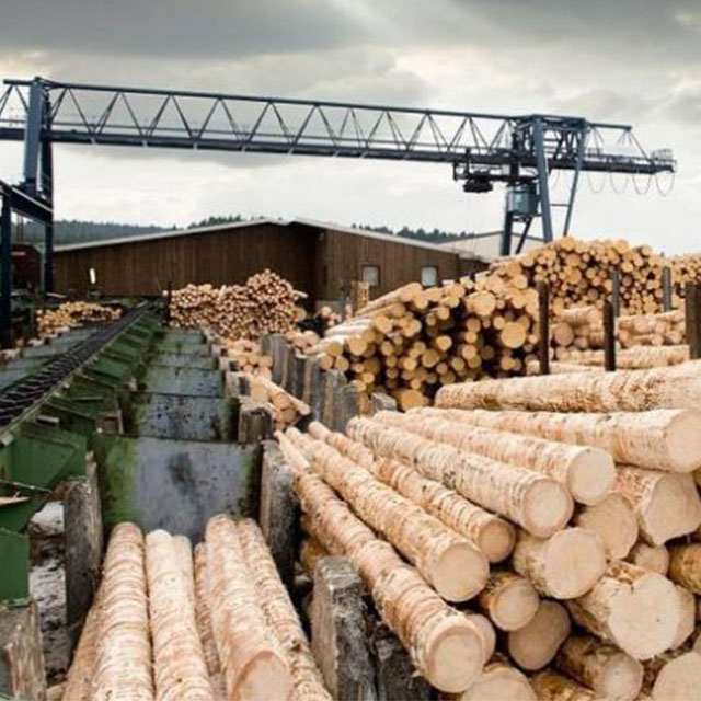 Hyne Timber Sawmill