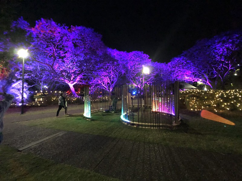 UQ Bloom installation