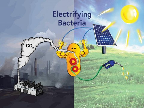 Electrifying bacteria 3MT slide