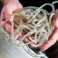 biodegradable material to release nutrients