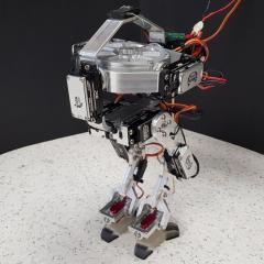 walking robot
