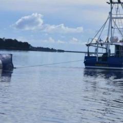 A tidal energy turbine being towed out to a site in Tasmania's Tamar estuary 