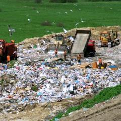 landfill