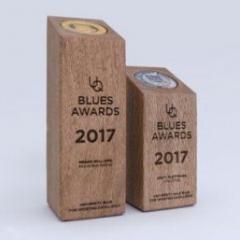 image of trophy for awardss