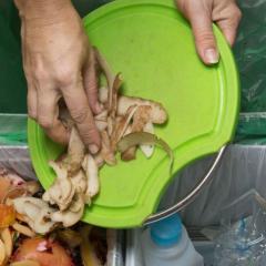 table scraps on a plate
