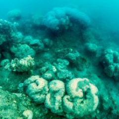 Great Barrier Reef