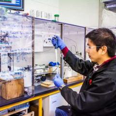 man in laboratory