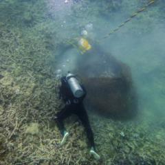 diver placing net on seabed