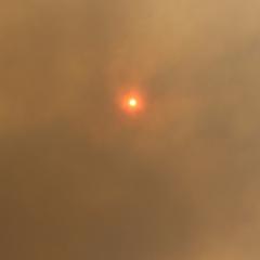 image of smoke filled sky with pinpoint red sun