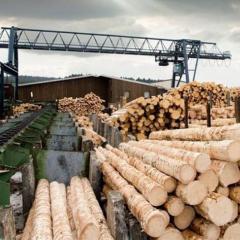 Hyne Timber sawmill