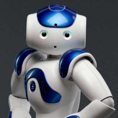 Robot: Image Credit: Aldebaran