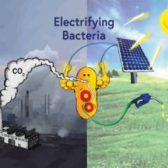 drawing depicting pollution and solar energy to explain electrifying bacteria