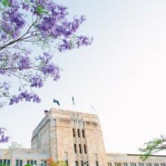 photo looking up at UQ building with jacaranda branch in view