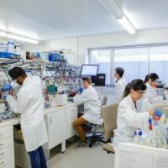 lab technicians working in lab